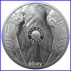 South Africa 2021 Krugerrand Elephant Privy Big5 Series II Elephant Two Coin Set