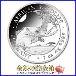 Wildlife Elephant Silver Coin 1 Oz 2023 Clear Case Sterling Gold And Piggy Bank