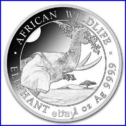 Wildlife Elephant Silver Coin 1 Oz 2023 Clear Case Sterling Gold And Piggy Bank