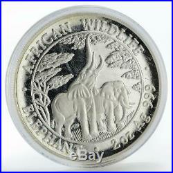 Zambia 10000 kwacha African Wildlife Elephant proof silver coin 2003
