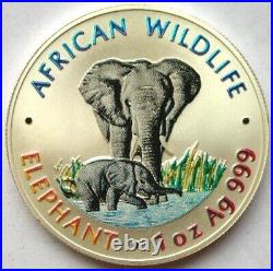 Zambia 1999 Elephant 5000 Kwach 1oz Colour Silver Coin, UNC