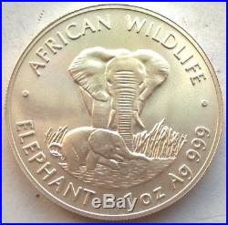 Zambia 1999 Elephant 5000 Kwacha 1oz Silver Coin, Matte, UNC