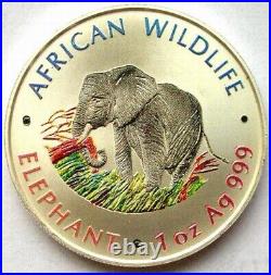 Zambia 2000 Elephant 5000 Kwach 1oz Colour Silver Coin, UNC