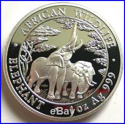 Zambia 2003 Elephant 5000 Kwach 1oz Silver Coin, Proof