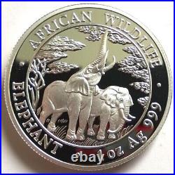 Zambia 2003 Elephant 5000 Kwach 1oz Silver Coin, Proof