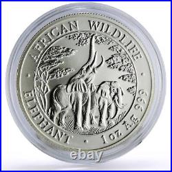 Zambia 5000 kwacha African Wildlife Elephants Fauna Matte silver coin 2003